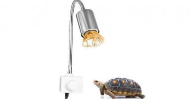 lámpara térmica para tortugas