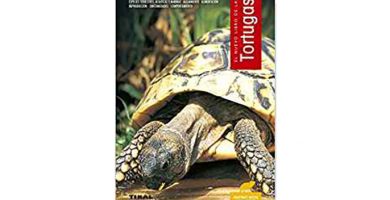 el nuevo libro de las tortugas